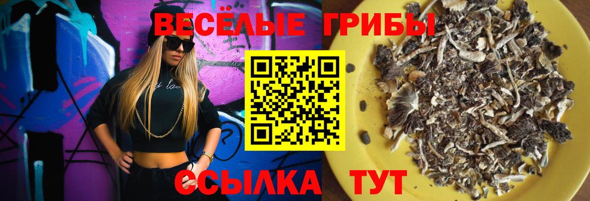 Архангельск  Псилоцибиновые грибы GOLDEN TEACHER  Вход с VPN 