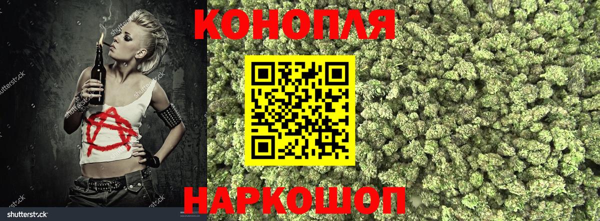 Бошки марихуана конопля Архангельск